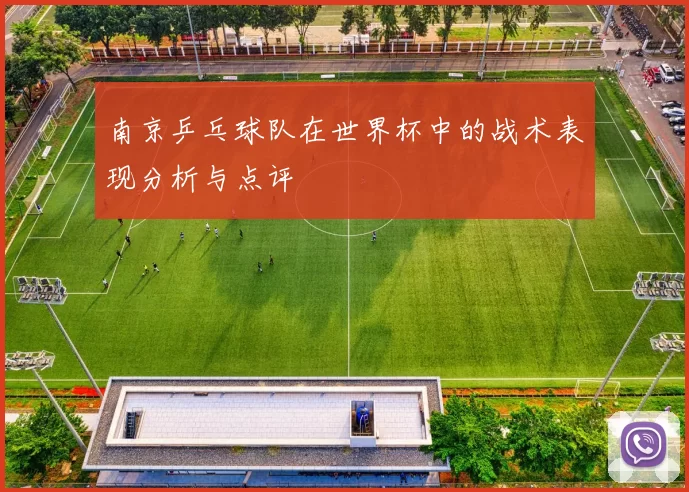 南京乒乓球队在世界杯中的战术表现分析与点评