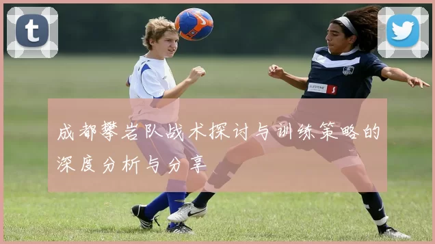 成都攀岩队战术探讨与训练策略的深度分析与分享