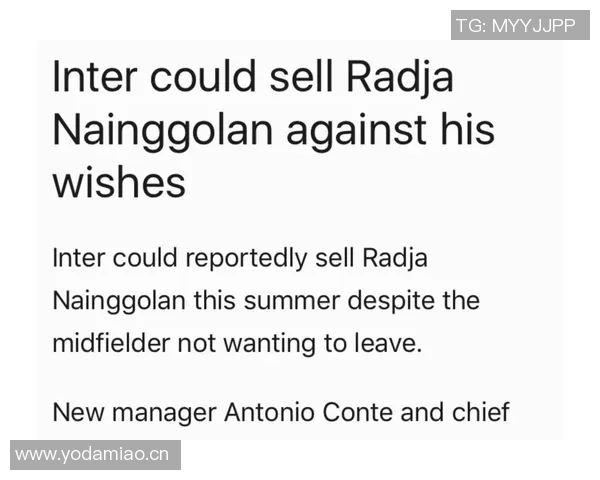 球员转会后的意甲球队下家分析